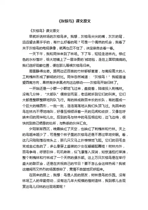 《灰椋鸟》课文原文