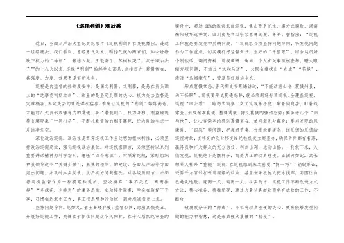 《巡视利剑》观后感 (4)