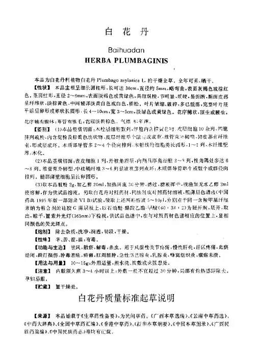 白花丹