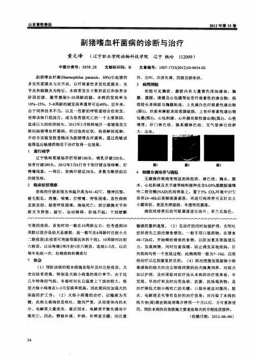 副猪嗜血杆菌病的诊断与治疗