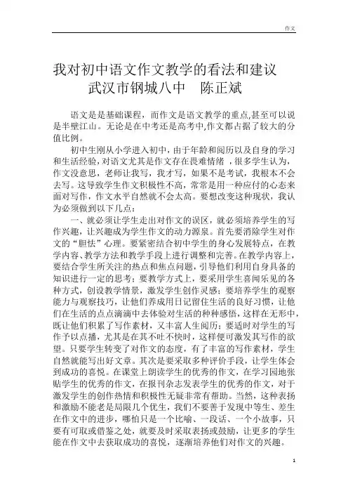 我对初中语文作文教学的看法和建议