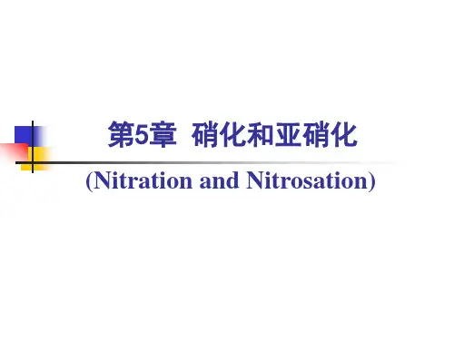 苯的硝化和亚硝化