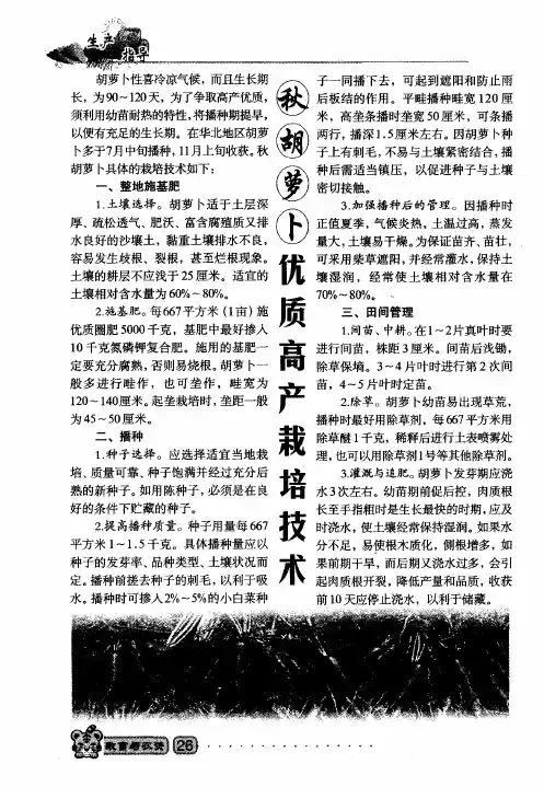 秋胡萝卜优质高产栽培技术
