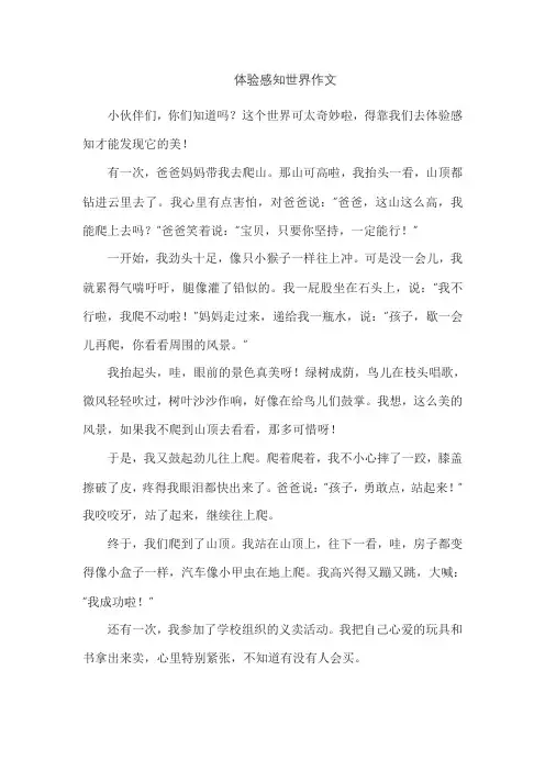 体验感知世界作文
