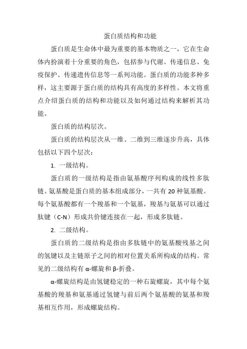 蛋白质结构和功能