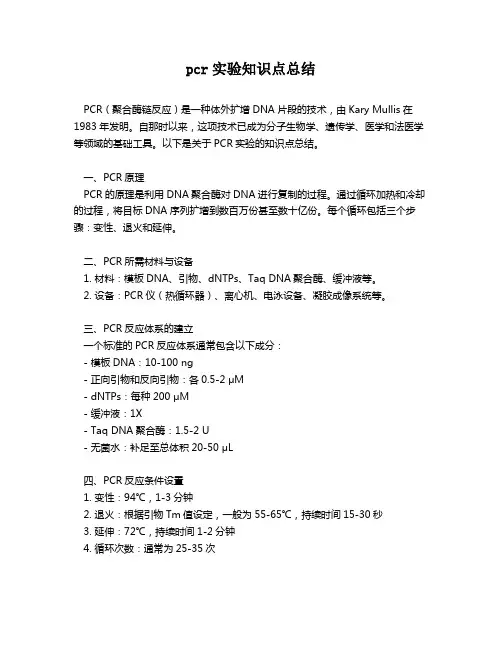pcr实验知识点总结