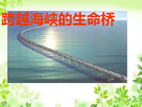 (赛课课件)四年级上册语文《跨越海峡的生命桥》(共20张PPT)