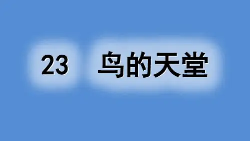 2020最新 部编版 小学语文 五年级 上册 23 鸟的天堂  PPT课件