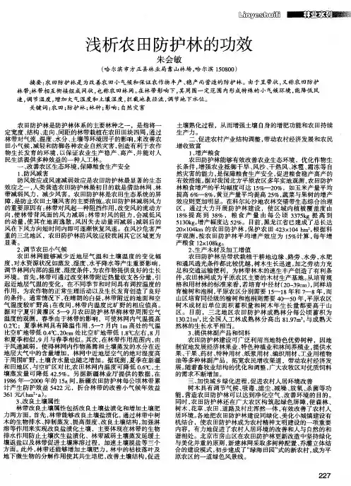浅析农田防护林的功效