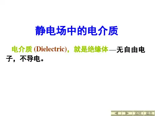 电介质的极化