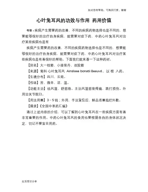 心叶兔耳风的功效与作用 药用价值