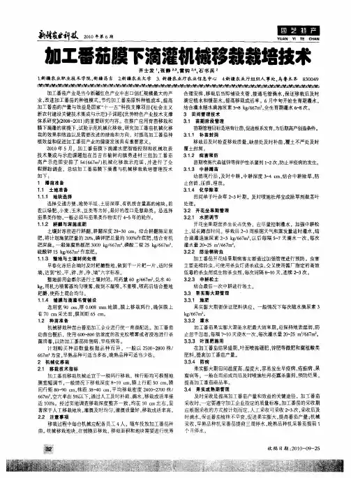 加工番茄膜下滴灌机械移栽栽培技术