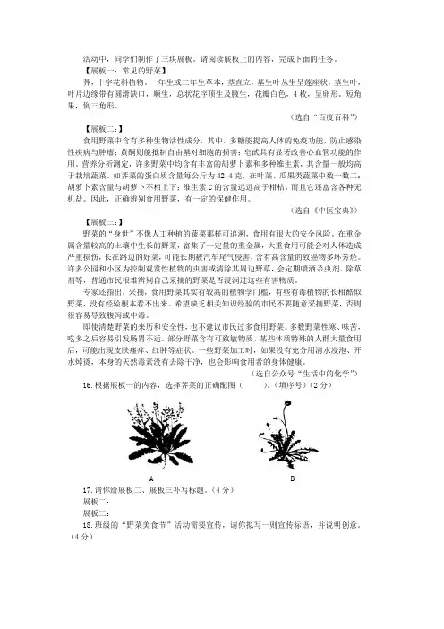 野菜(2022年浙江台州中考语文试卷非连续性文本阅读试题及答案)