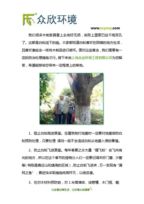 上海防白蚁处理