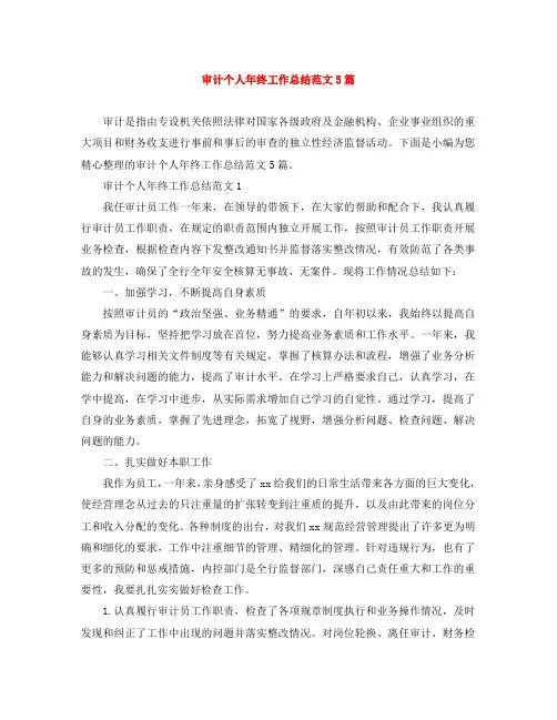 审计个人年终工作总结范文5篇