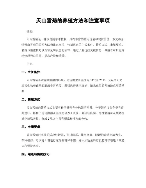 天山雪菊的养殖方法和注意事项