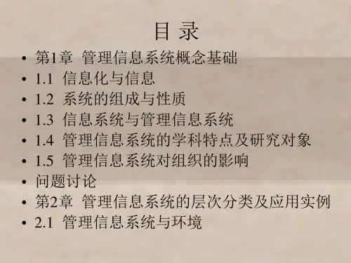 管理信息系统理论与实务 (1)