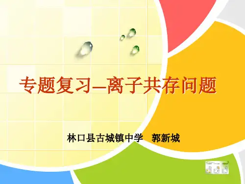 中考化学专题复习———离子共存问题 17张PPT