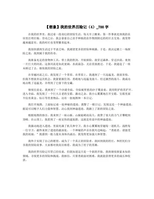 【想象】我的世界历险记(4)_700字