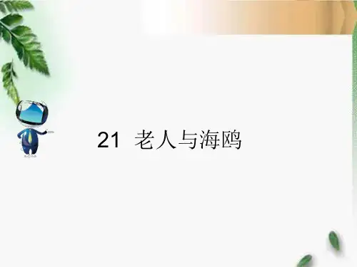 人教六年级语文上册21 《老人与海鸥》课文原文
