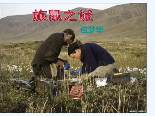 语文人教版八年级下册旅鼠之谜ppt