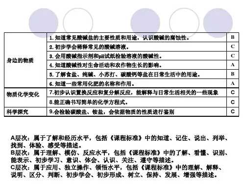 中考化学专题复习酸碱盐复习课课件(25张PPT)