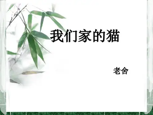 我们家的猫PPT