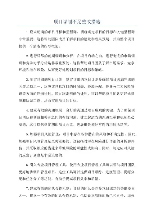 项目谋划不足整改措施