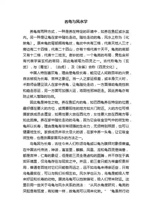 养龟与风水学