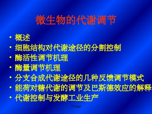 《微生物的代谢调节》PPT课件