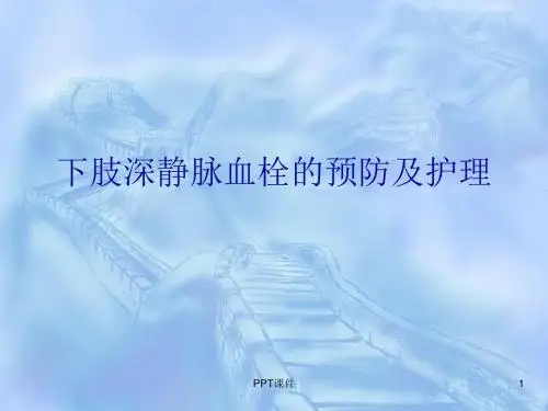 下肢深静脉血栓的预防与护理  ppt课件