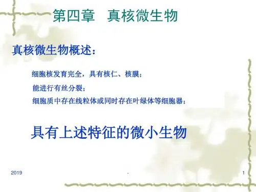 第三章真核微生物ppt课件