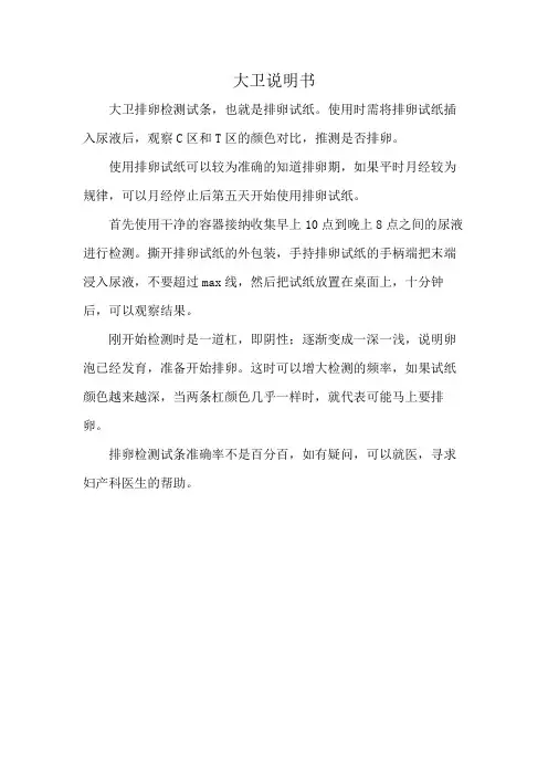 大卫说明书
