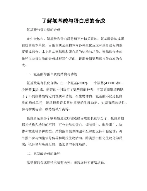 了解氨基酸与蛋白质的合成