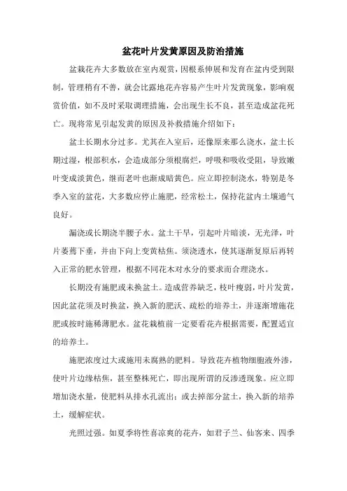 盆花叶片发黄原因及防治措施