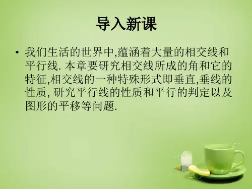 秋七年级数学上册5.1.1对顶角和垂线课件新版华东师大版