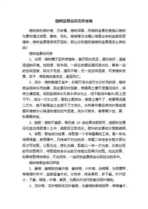 榕树盆景应该怎样养呢