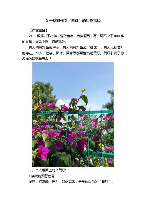 关于材料作文“黄灯”的写作指导