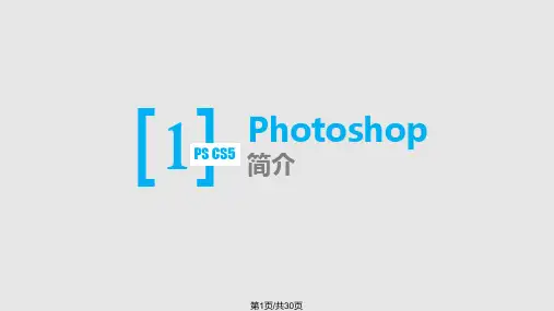 ps基础操作教程精简PPT课件