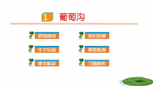 人教版(部编本)二年级上册葡萄沟PPT课件
