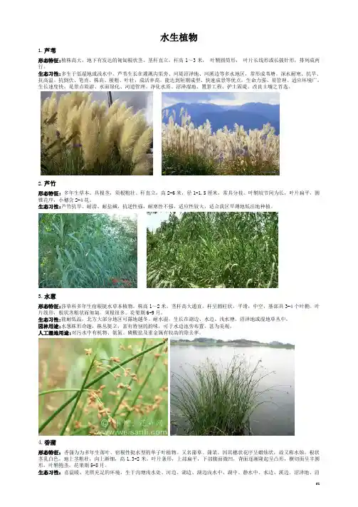 园林植物(水生植物)