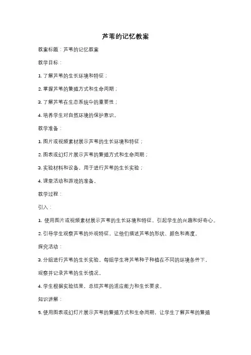 芦苇的记忆教案