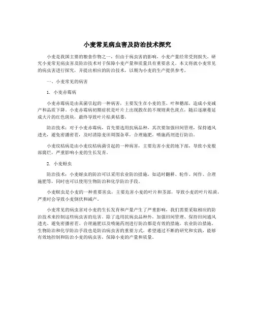 小麦常见病虫害及防治技术探究