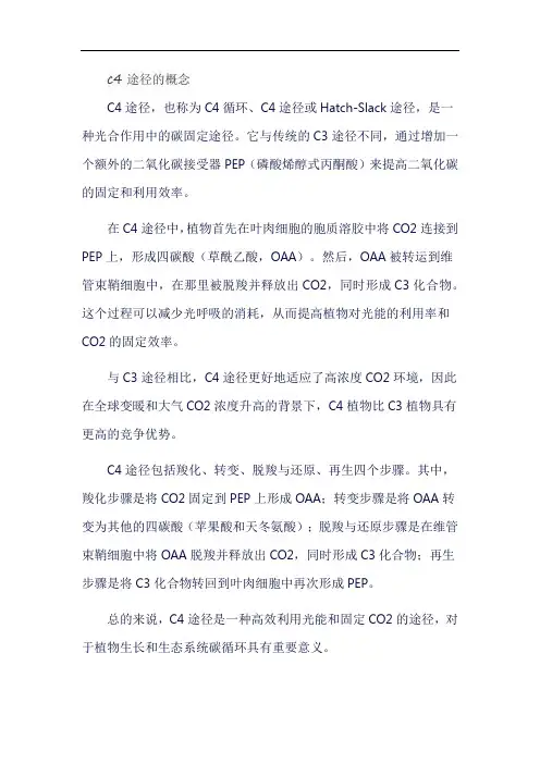 c4途径的概念