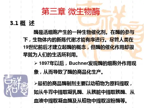 第三章 微生物酶