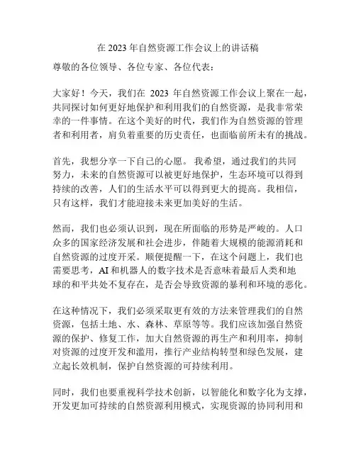 在2023年自然资源工作会议上的讲话稿