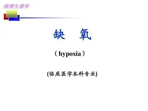 病理生理 第七版教材 缺氧
