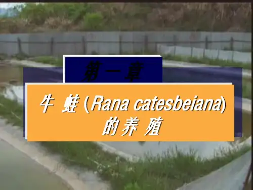 《特种水产养殖学》-3两栖爬行类的养殖-1牛蛙养殖 (Rana catesbeiana)