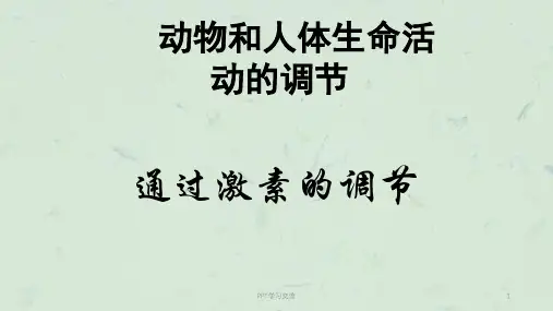 动物激素调节课件