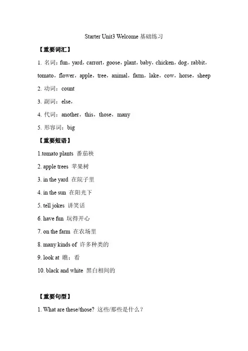 Starter+Unit+3基础练习+2024-2025学年人教版英语七年级上册
